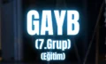 anzenbaba gayp 7. grup
