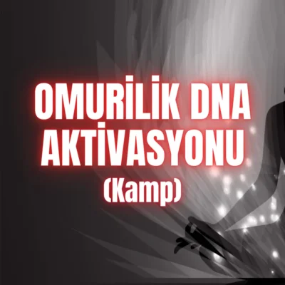 anzenbaba omurilik aktivasyonu