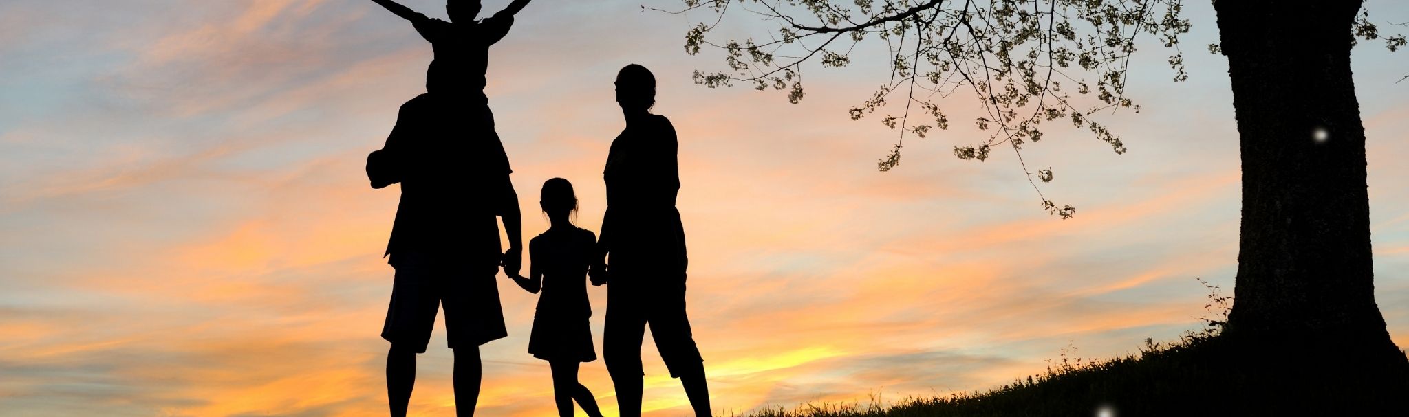 Aile dinamikleri, hayatımızın her alanını derinden etkileyen görünmez ve güçlü bağlardır. Bireyler olarak bu dünyaya geldiğimizde, kendimizi hazır bir sistemin ve enerjetik ağın içinde buluruz. Öncelikle bu psikolojik altyapıyı anlamak, ruhsal yolculuğunuzun en temel adımıdır. Köklerinizden gelen mirası fark ettiğinizde, kendi saf özünüzü çok daha net ve berrak görebilirsiniz. Yaşadığınız duygusal tıkanıklıkların birçoğu aslında sizin değil, atalarınızın yarım kalmış hikayesidir.