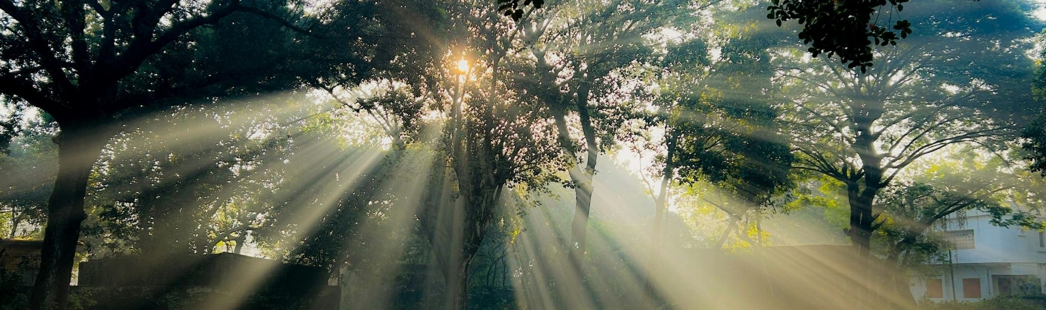 İlişkiler, hayatımızdaki zenginlik seviyesini ve içsel huzurumuzu belirleyen en güçlü, en şeffaf aynalardır. İnsanlarla kurduğunuz temaslar, aslında evrenin sizinle konuşma ve size yol gösterme biçimidir. Çoğu insan, başkalarıyla yaşadığı sorunları sadece dışsal bir çatışma olarak görür ve çözüm aramakta zorlanır. Ancak bu dinamikleri ilahi bir perspektiften okumayı öğrendiğinizde, hayatınızdaki tüm tıkanıklıklar kendiliğinden çözülmeye başlar. Böylece karmaşık spiritüel ritüellere veya fantastik arayışlara girmeden, sadece sade bir niyetle hayatınızı dönüştürebilirsiniz. İlişkiler_ Zenginliğin İlahi Sırrı